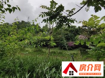 盛林苑