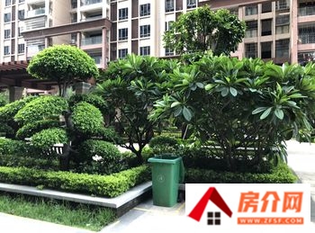 鼎湖春天花园
