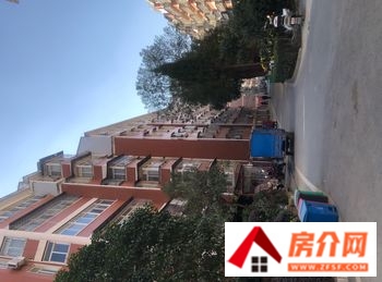 北美城市花园