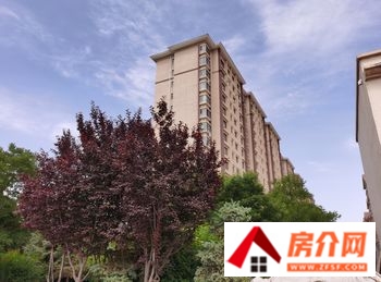 远东华府小区