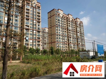 东洲新村